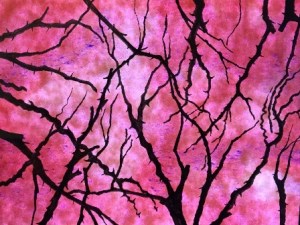 2.1 Nicola Bottalico, Rovi,  2015, acquarello, cm 23x16 - Copia