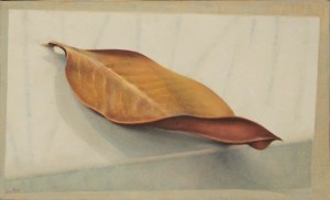 18 Roberto Rampinelli,La foglia, 2014, colori ad acqua su tavola, cm 17x27